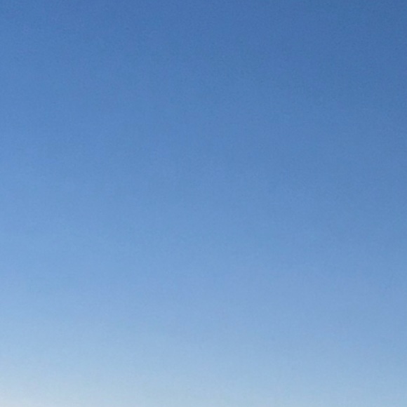 Meet your Posher, Olivia - Picture 1 of 1